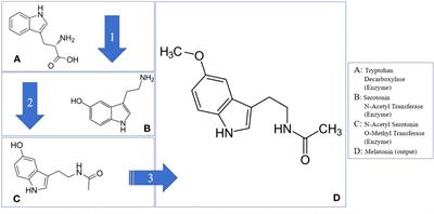 Melatonin interaction with abscisic acid in the regulation of abiotic stress in Solanaceae family plants